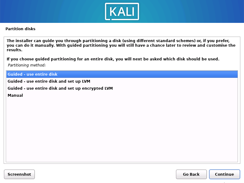 Kali Linux Partition