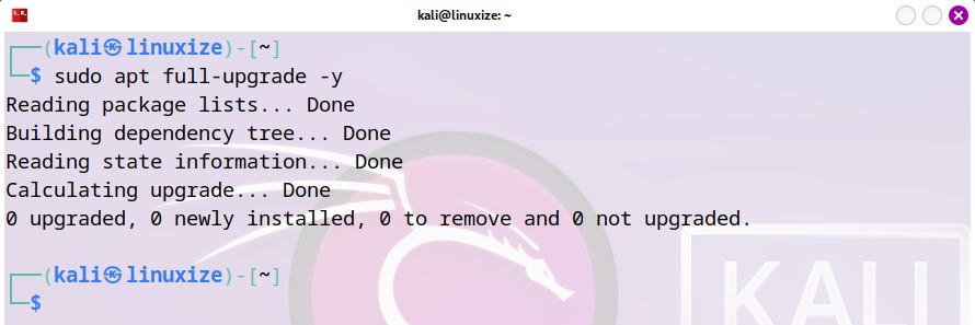 Kali Linux Update Upgrade