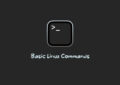 Basic Linux Commands