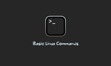 Basic Linux Commands