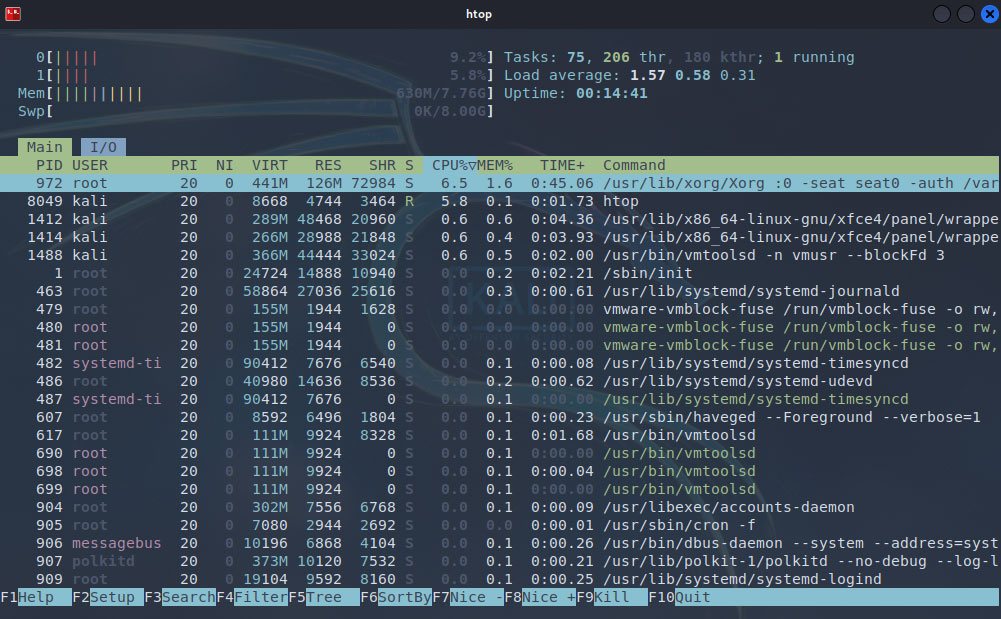 HTOP on Kali Linux