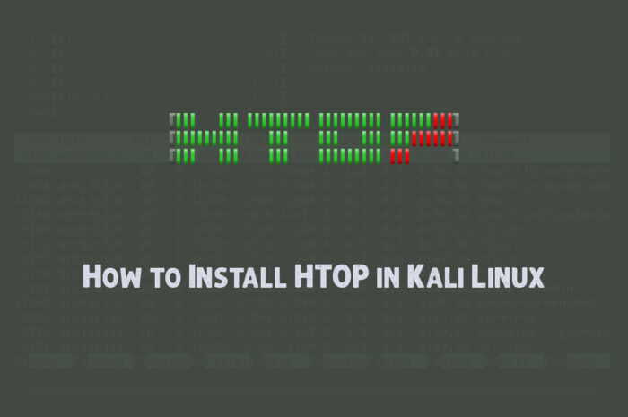 How to Install HTOP in Kali Linux