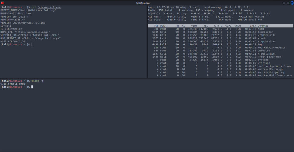 Terminator Terminal in Kali Linux