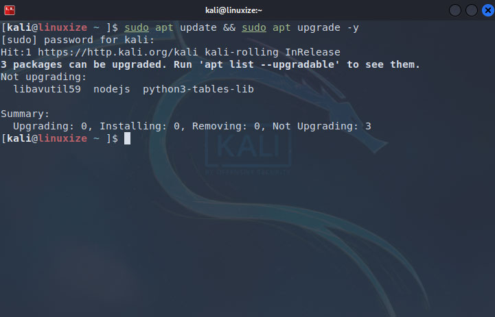 Update Kali Linux 2025.4