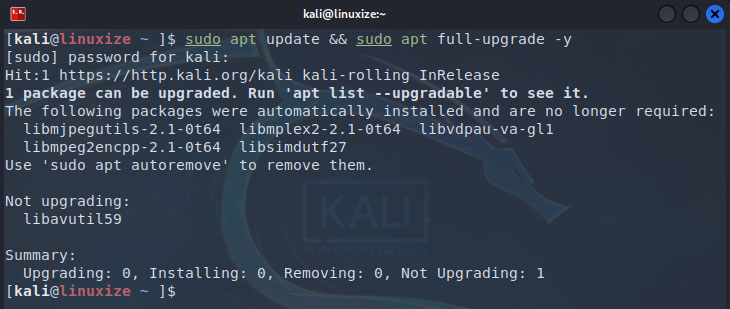 Update Kali Linux System